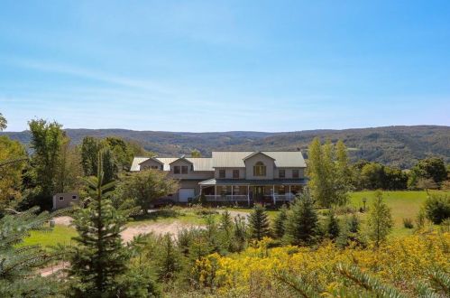 163 Skyline Dr, Lew Beach, NY 12758-5020