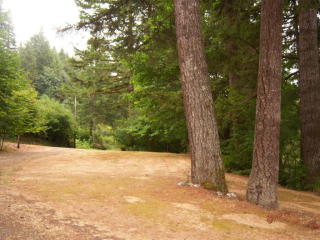 353 Pioneer Trl, Toledo, OR 97391-9719