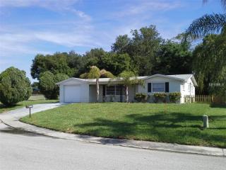 5151 Bluejay Dr, Tarpon Springs, FL 34690-2101