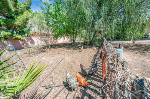 4150 18 Ave, Phoenix AZ 85015-3840 exterior