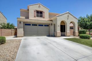 6816 Evergreen Ter, Peoria, AZ 85383-3004