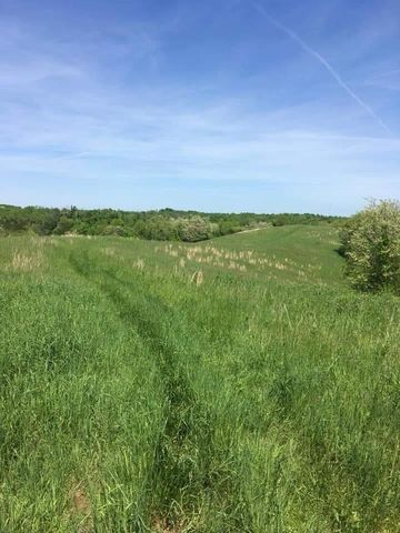 1 Mount Moriah Rd, Carlisle, KY 40311