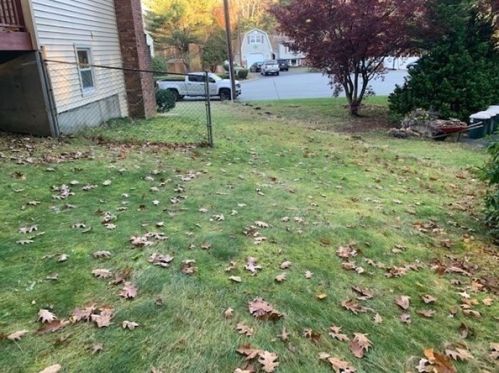 81 Drake Rd, Burlington, MA 01803-1803