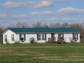 10685 Wilkinson Rd, Mooreland, IN 47360-9603