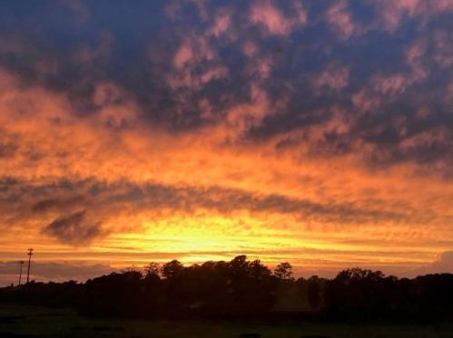 181 Winding River Dr, Johns Island SC  29455-3464 exterior