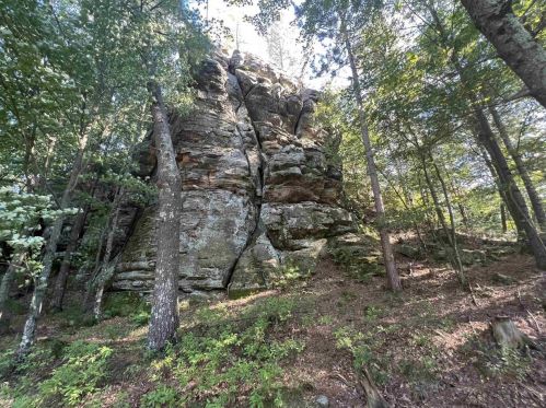1411 Edgewood Dr, Friendship, WI 53934-9171