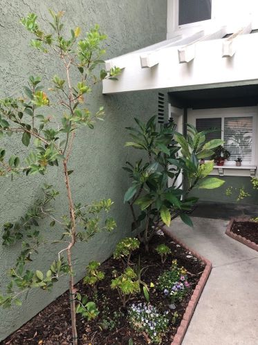 16003 Sierra Pass Way, City Of Industry, CA 91745