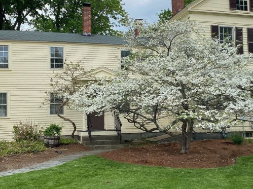 39 Concord Rd, Billerica, MA 01821-2501