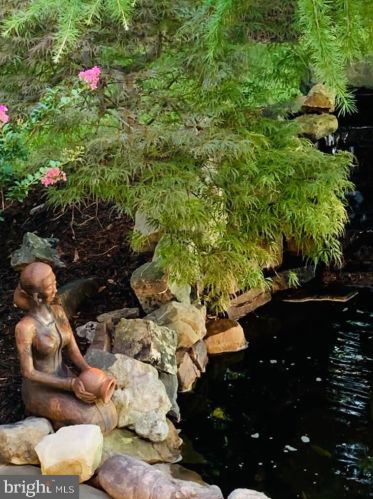 19376 Ml Dm Pl, Leesburg VA 20176-1637 exterior