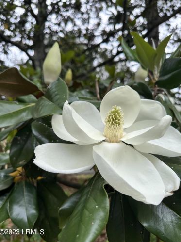 103 Hermitage Rd, Beaufort SC  29902-5321 exterior