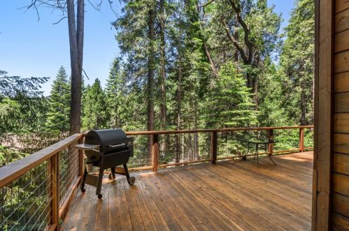 7220 Pine Cone Dr, Pacific House, CA 95726-9584