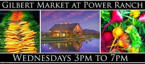 4001 Timberline Rd, Gilbert AZ  85297-6659 exterior