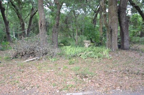 36634 Blanton Rd, Dade City FL  33523-6303 exterior