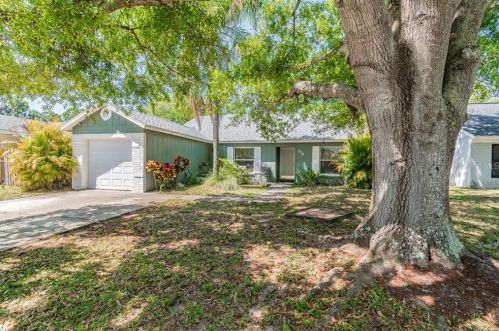 716 Bayside Blvd, Oldsmar, FL 34677-2653