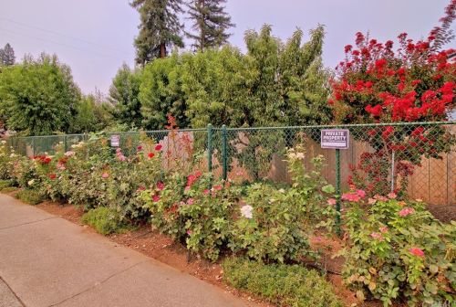 1087 Via Verona Dr, Chico CA  95973-1030 exterior