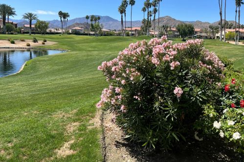 78387 Terra Cotta Ct, La Quinta CA  92253-3809 exterior