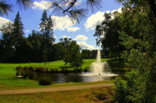 17900 Lake Forest Dr, Lake Wildwood CA  95946-8806 exterior