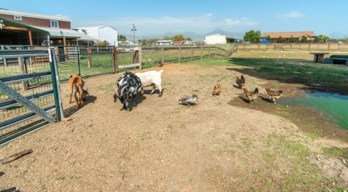 105 Daffodil Dr, Hollister CA  95023-3103 exterior