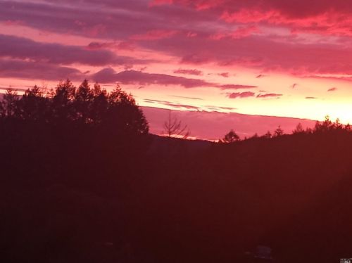 5480 Canyon Rd, Willits CA  95490-9242 exterior