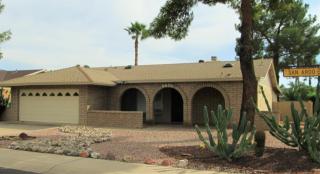 8601 San Ardo Dr, Scottsdale, AZ 85258-2536