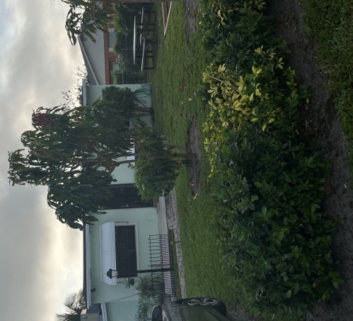 1194 Sunrise Rd, West Palm Beach, FL 33406-4935