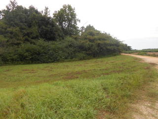 2500 Highway 97, Molino, FL 32577-5047