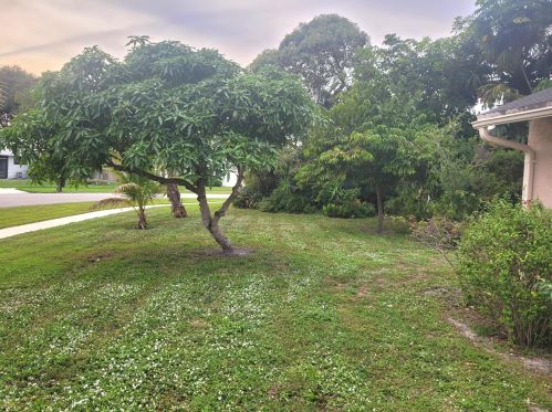 119 Gibraltar St, West Palm Beach, FL 33411-1147
