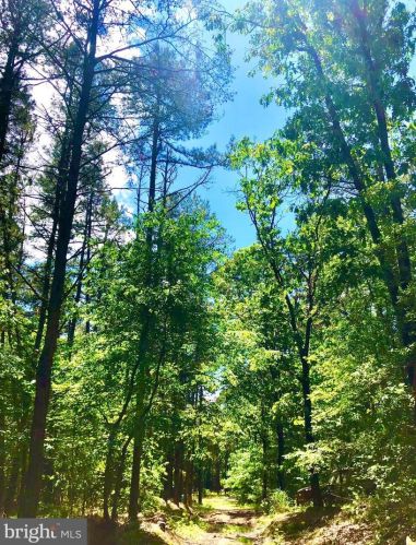 253 Jackson Rd, Berlin Boro NJ  08009-2618 exterior