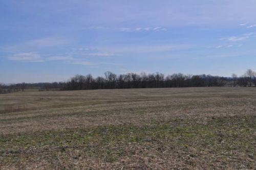 1375 Gene Campbell Rd, Calvary, KY 40033-9616