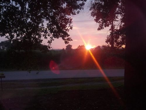 1231 Stockdale Rd, Munford, AL 36268-7352