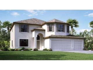 10022 Celtic Ash Dr, Ruskin, FL 33573-6729