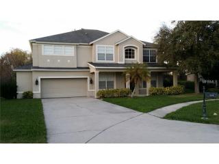 1630 Tawnyberry Ct, New Port Richey, FL 34655-5348