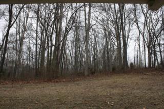 463 Hillvale Rd, Andersonville, TN 37705-3923