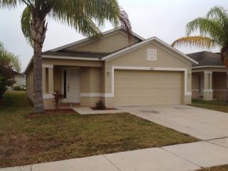 1433 Delano Trent St, Ruskin FL  33570-7941 exterior