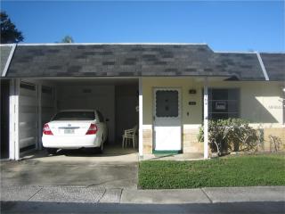 164 Skyloch Dr, Dunedin, FL 34698-8136