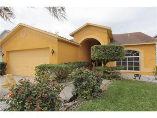 1650 Gray Bark Dr, Oldsmar, FL 34677-2773