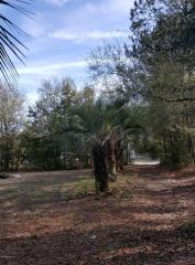 772 Linda Ln, Middleburg, FL 32068-3024
