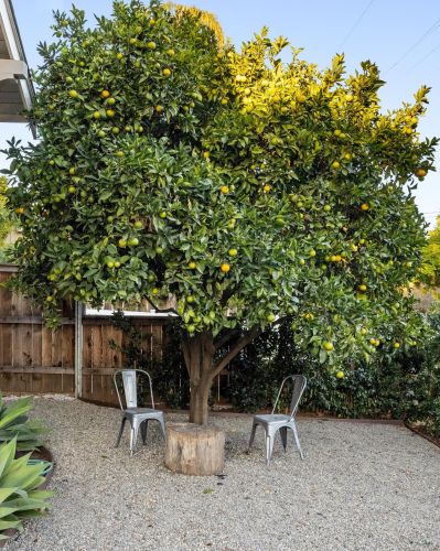 326 Micheltorena St, Santa Barbara CA  93101-1123 exterior