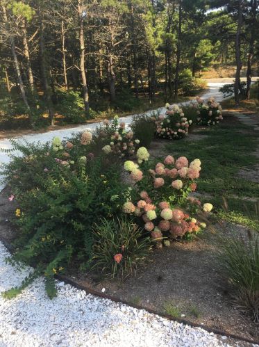 375 Hatch Rd, Eastham, MA 02642-1849