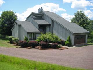 2195 Honest Brook Rd, West Delhi, NY 13753-1474