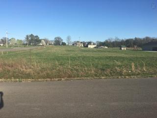 121 Hazelnut Dr, Unionville, TN 37180-8752