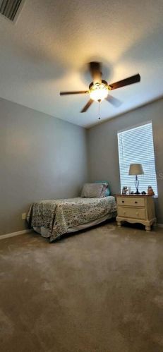 9320 Black Thorn Loop, Land O Lakes FL  34638-2530 exterior