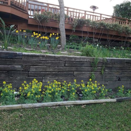 12231 Cross Creek Dr, Dallas TX  75243-4603 exterior