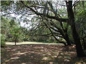 735 Canopy Cv, Charleston, SC 29412-9196