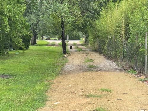 5640 Kunz Rd, Needville, TX 77461-8822