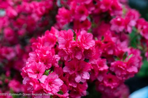 459 Newport Rd, Lacey NJ  08731-4809 exterior