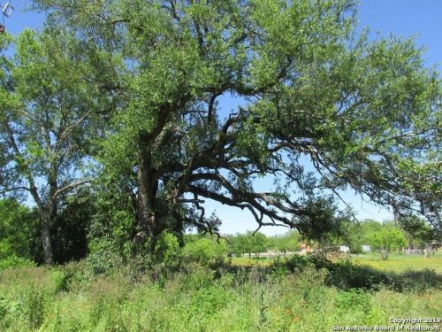 5221 County Road 520, D Hanis TX  78850 exterior