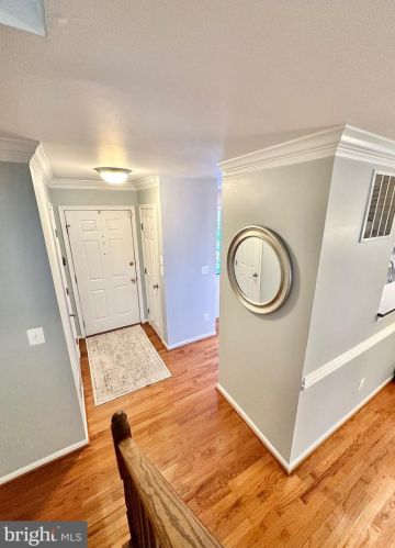 6527 Castine Ln, Springfield VA  22150-4278 exterior