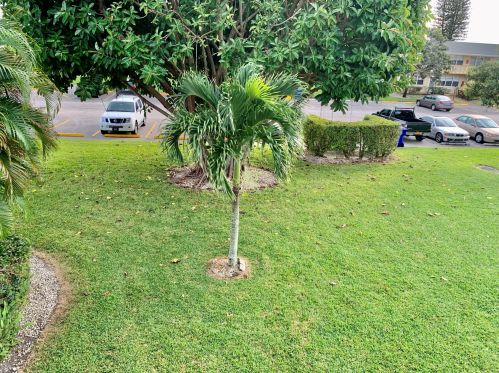 58 Dorchester C, West Palm Beach, FL 33417-1431