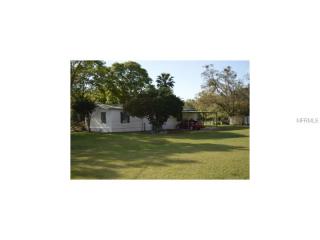 11116 Angus Ln, Lithia, FL 33547-2013